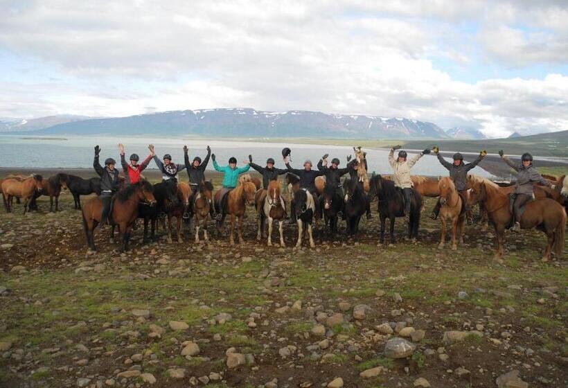 هتل Icelandhorsetours Helluland