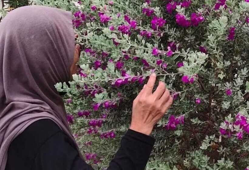 ホテル Kurau Inn Farmstay