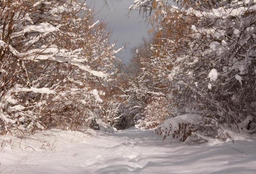 Отель La Maison Du Lac Chalain