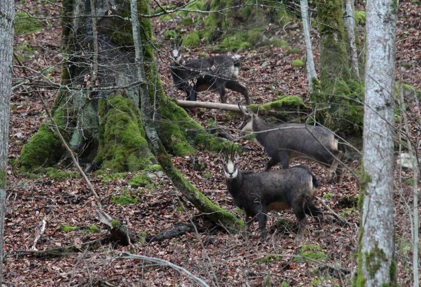 Отель La Maison Du Lac Chalain