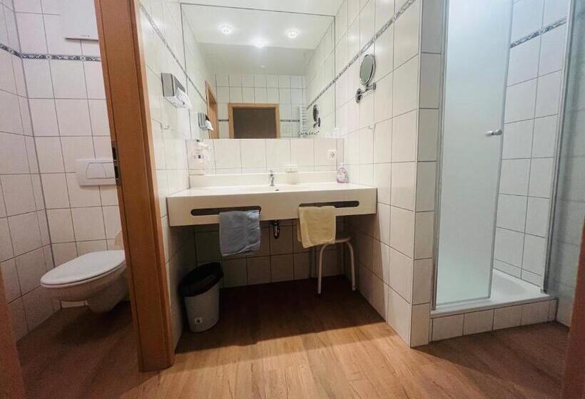 Отель Landhaus Schönfelder Hof