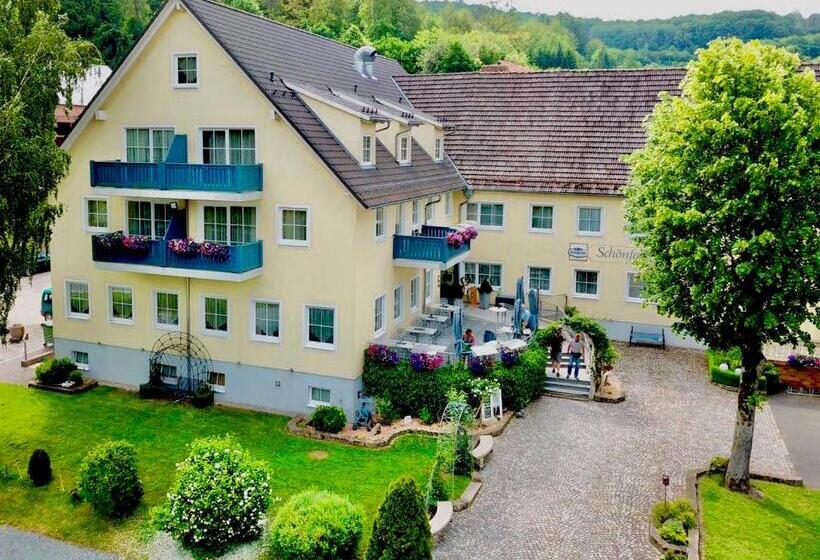 Отель Landhaus Schönfelder Hof