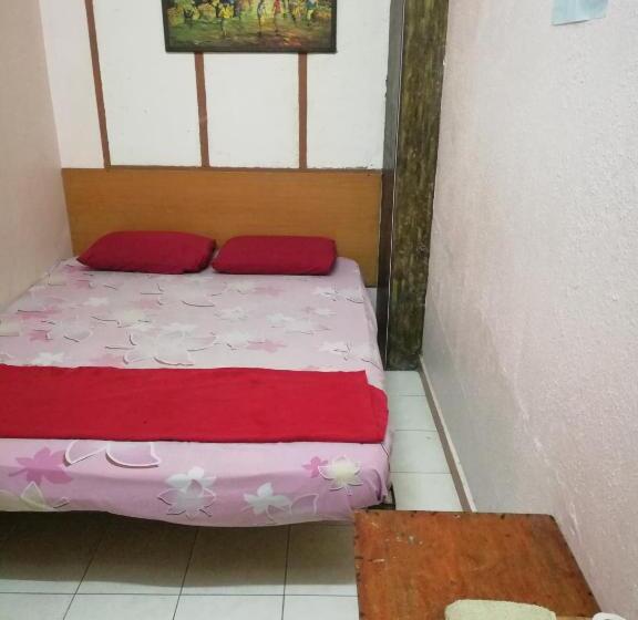 فندق New Budget Inn