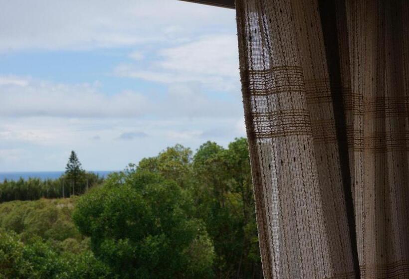 فندق Ondina Guesthouse