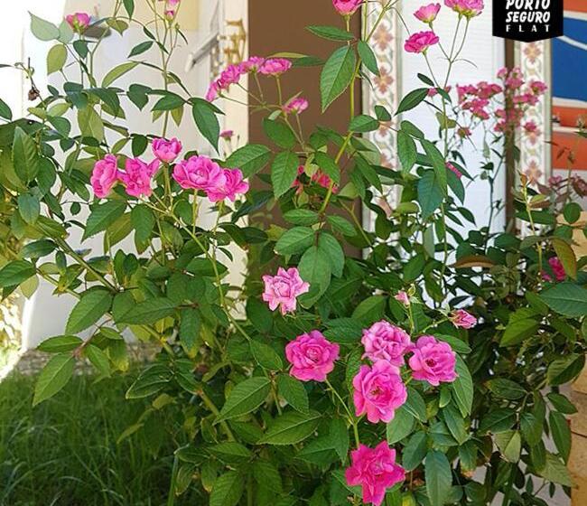 בית מלון כפרי Porto Seguro Flat