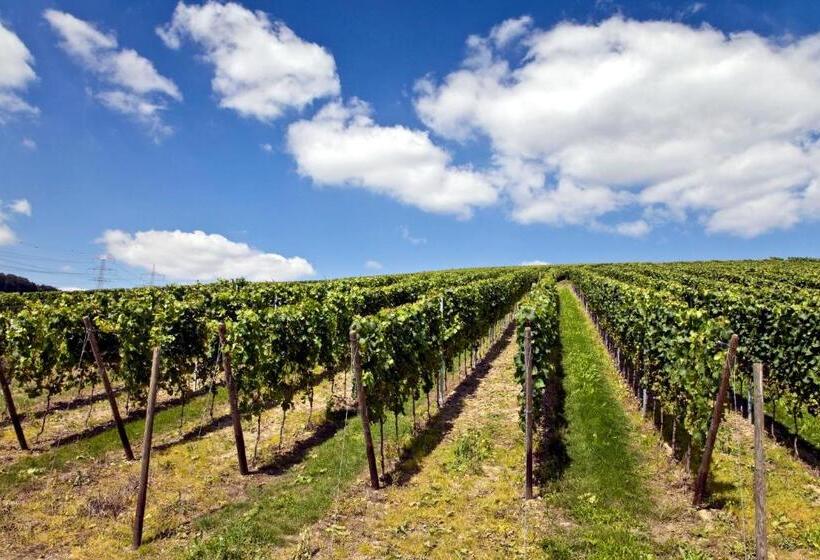 酒店 Weinquartier Burggarten