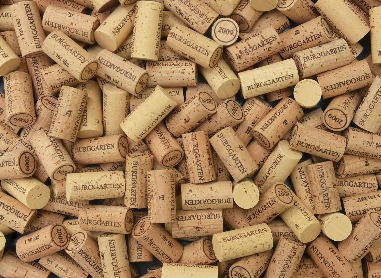 酒店 Weinquartier Burggarten