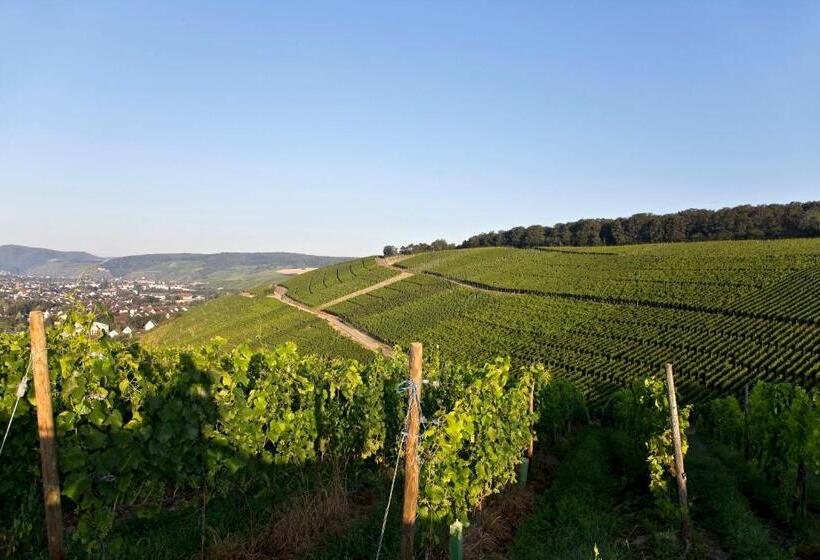 호텔 Weinquartier Burggarten