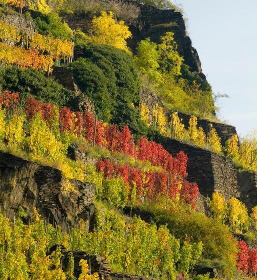 酒店 Weinquartier Burggarten