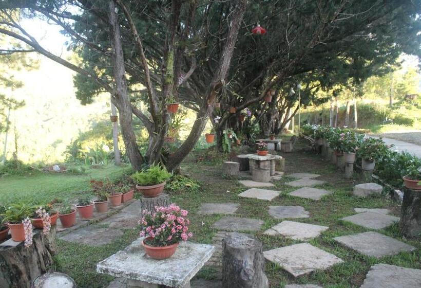 Jabez Resort Kundasang