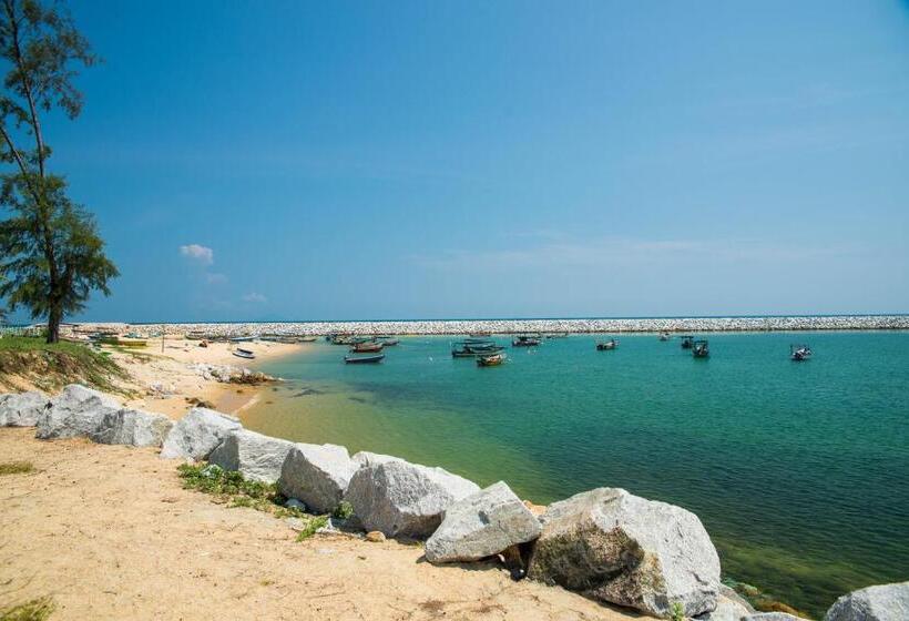 بنسيون Beachland Guesthouse