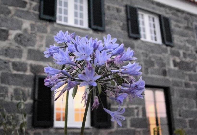Пансион Belo Campo Ilha Do Faial