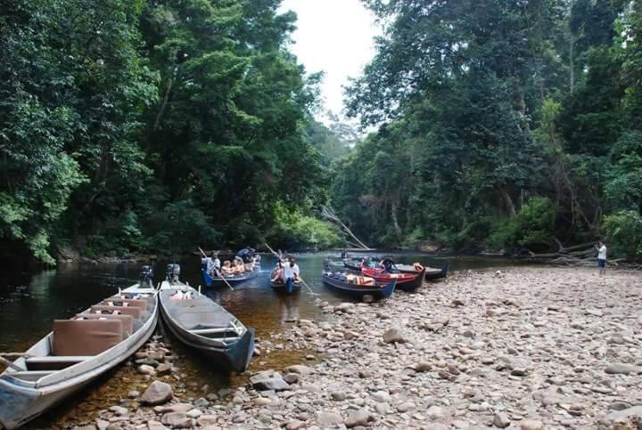 פנסיון Canopy Inn