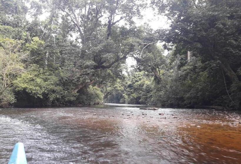 פנסיון Canopy Inn