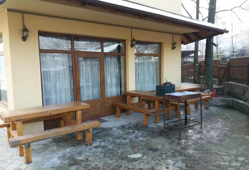 بنسيون Casa Teju