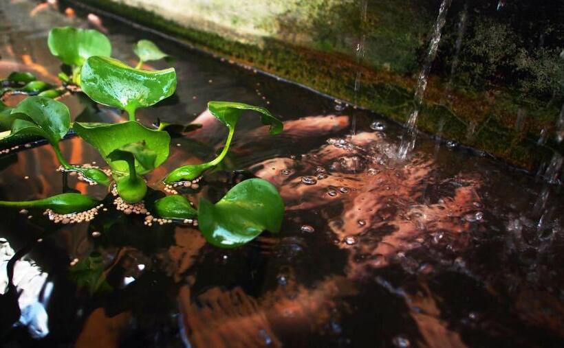 膳宿费 Family Lodge 25