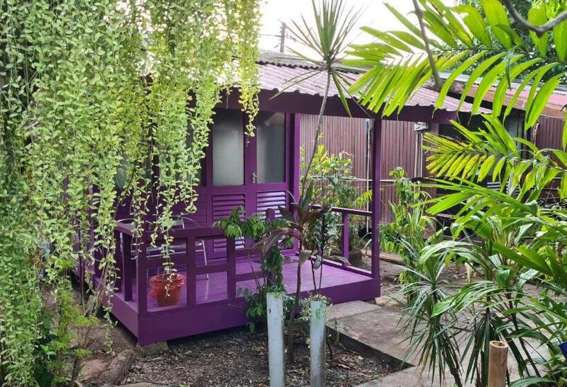 پانسیون Gecko Guesthouse