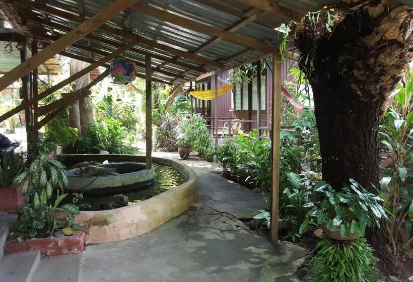 پانسیون Gecko Guesthouse