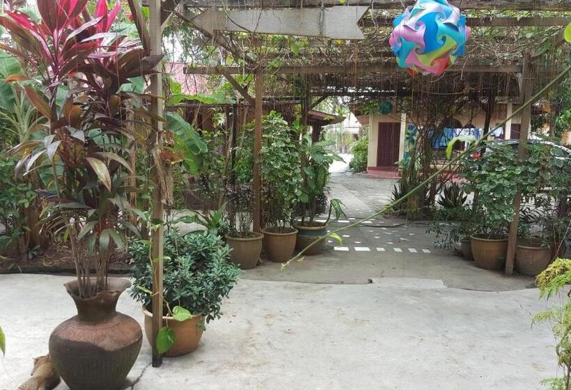 Пансион Gecko Guesthouse