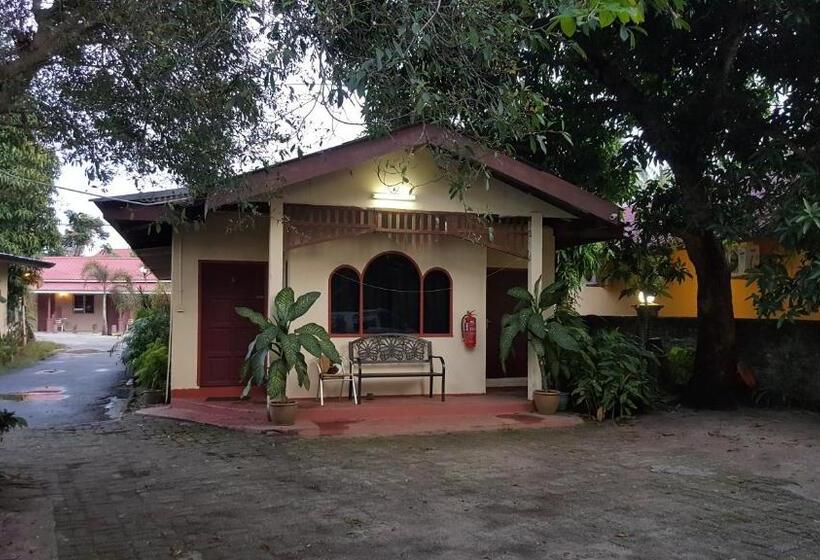 پانسیون Gecko Guesthouse