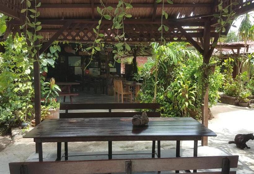 پانسیون Gecko Guesthouse