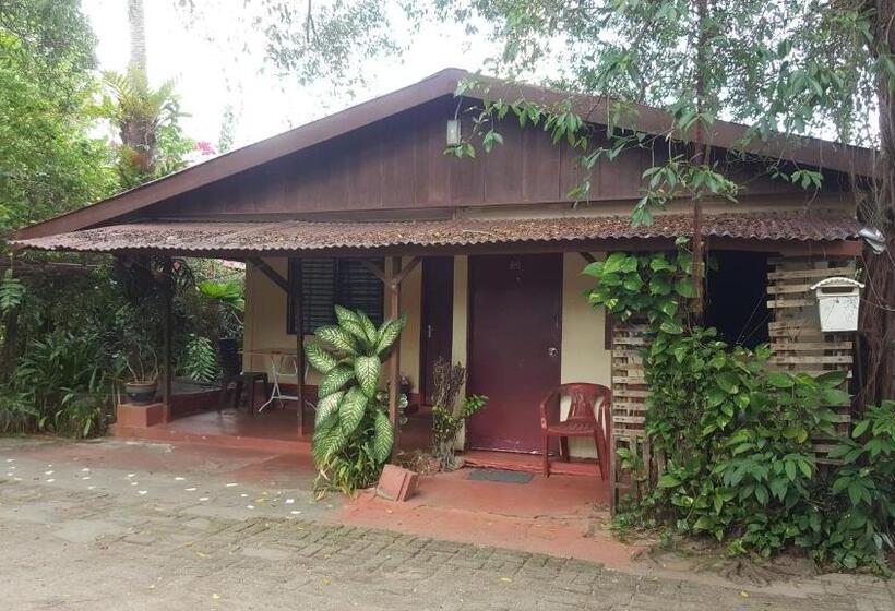 Пансион Gecko Guesthouse