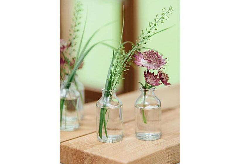 Пансион Goldvogel Apartments