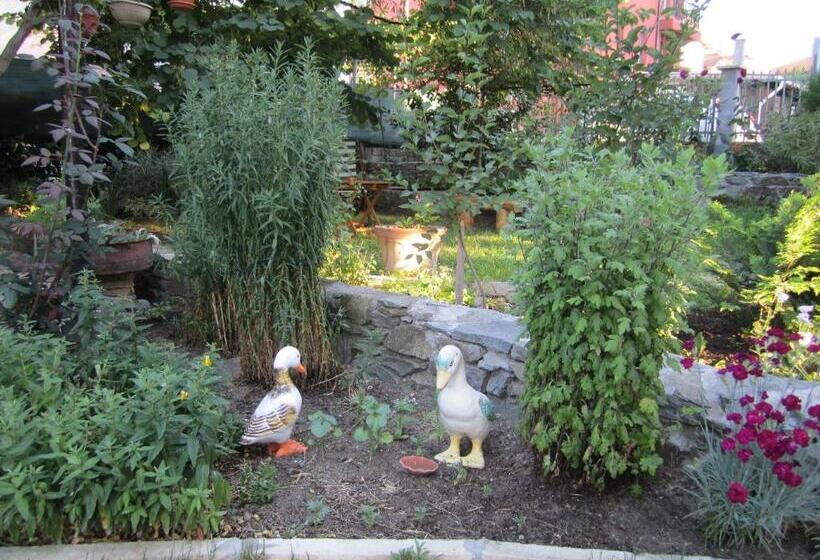 펜션 Guesthouse Kolevi