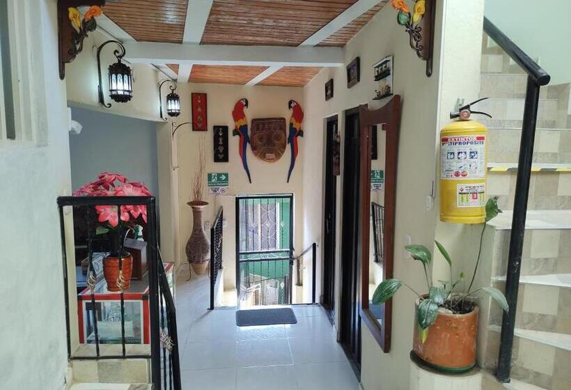 펜션 Hospedaje Alto De San Luis   Vivienda Turística Rnt 90280