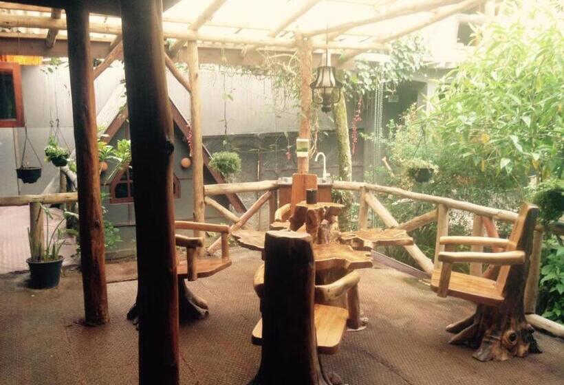 펜션 King Fern Cottage