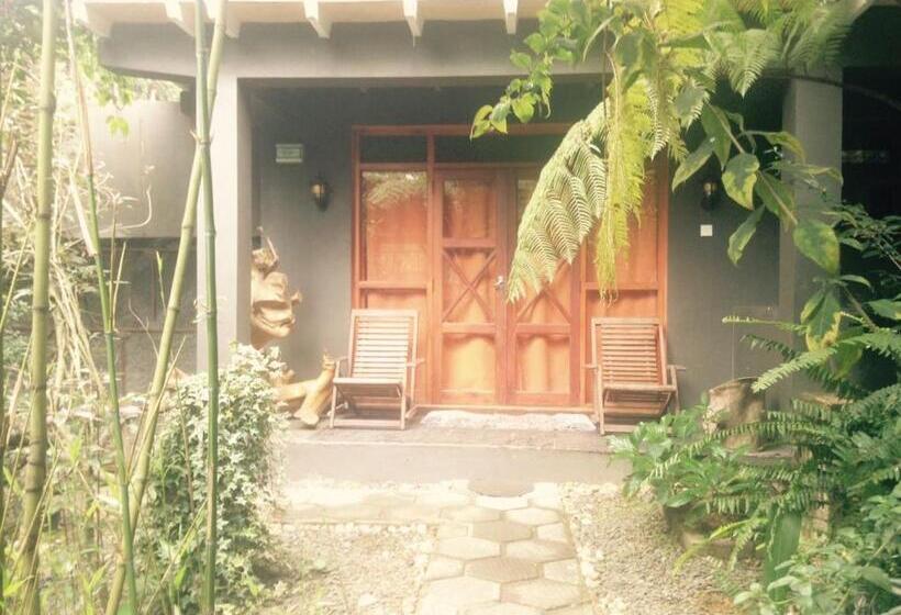 펜션 King Fern Cottage