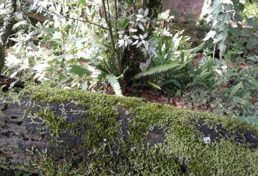 펜션 King Fern Cottage