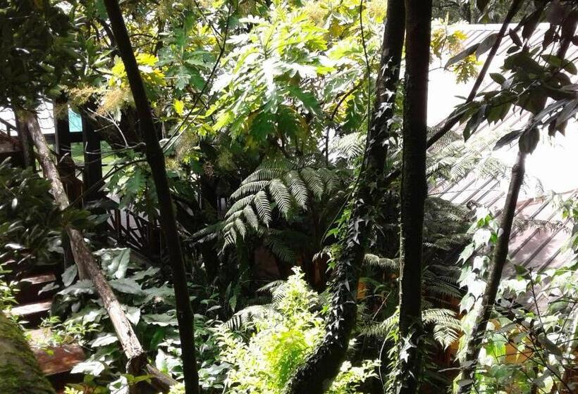 펜션 King Fern Cottage