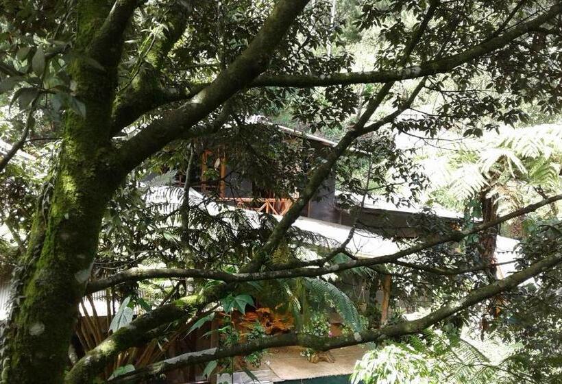 펜션 King Fern Cottage