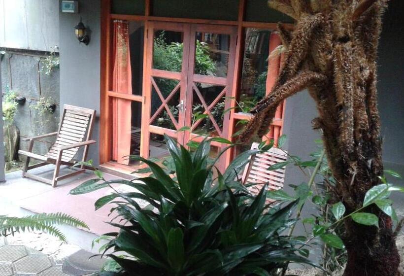 펜션 King Fern Cottage