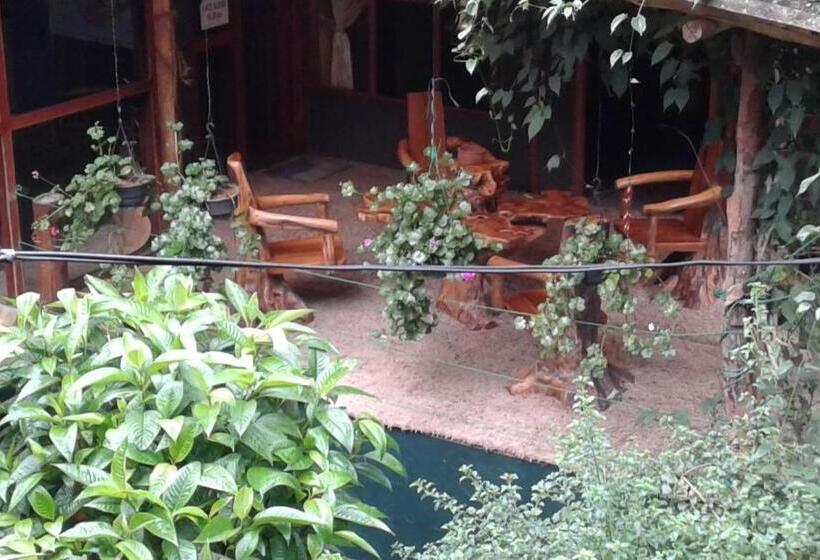 펜션 King Fern Cottage