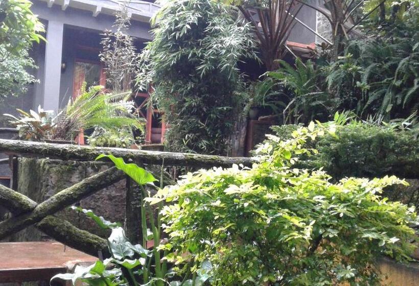 펜션 King Fern Cottage