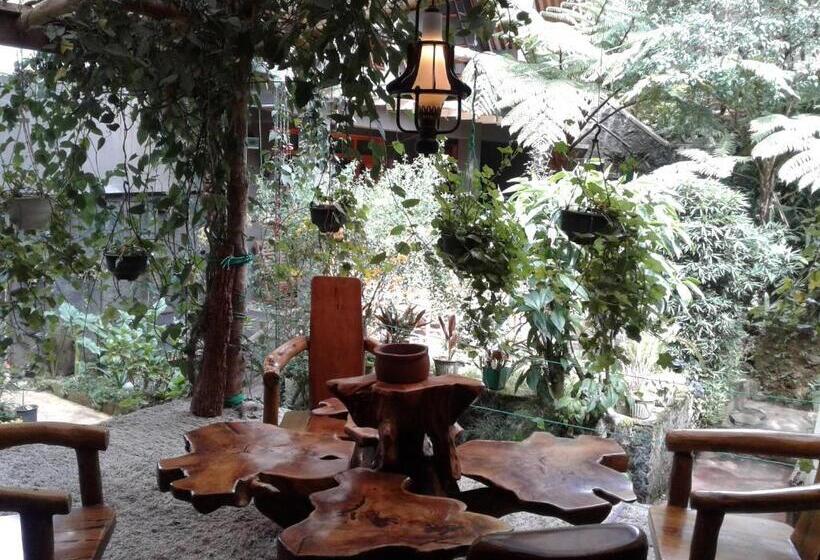 펜션 King Fern Cottage