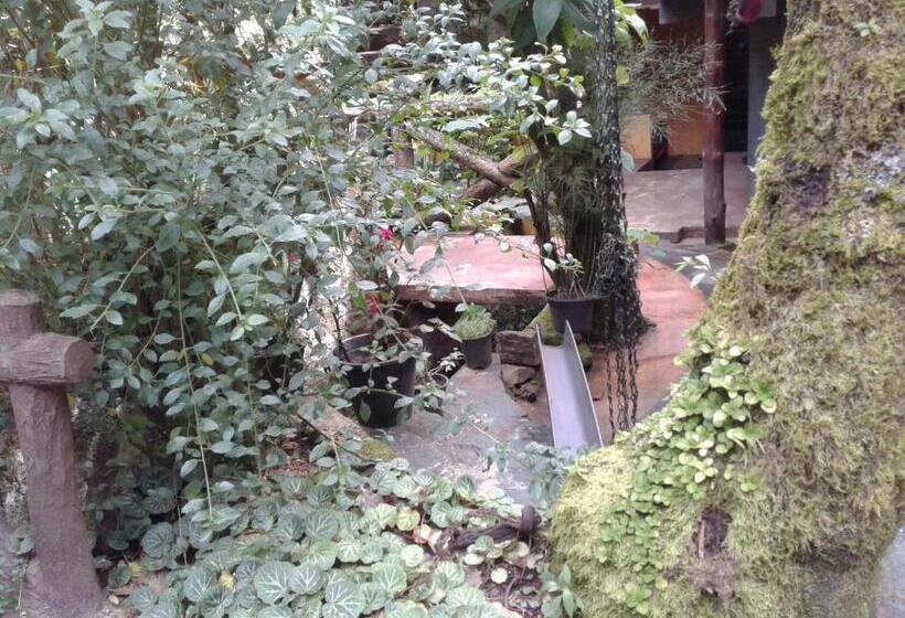 펜션 King Fern Cottage