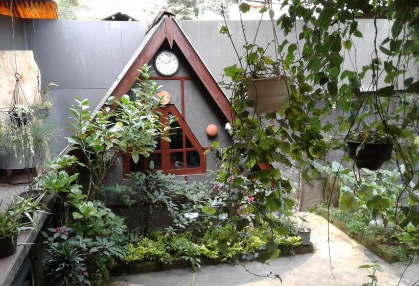 펜션 King Fern Cottage