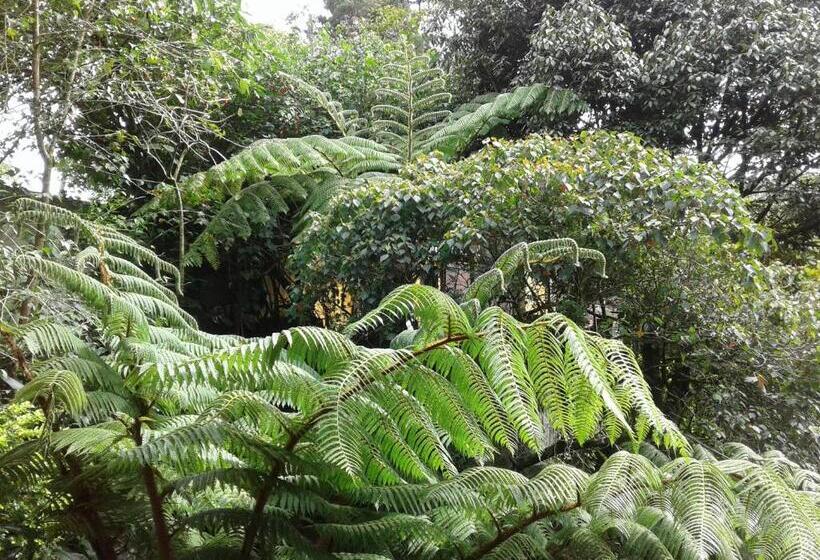 펜션 King Fern Cottage