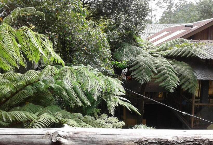 펜션 King Fern Cottage