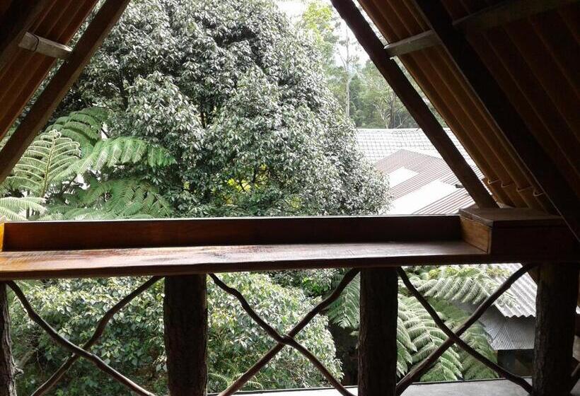 펜션 King Fern Cottage