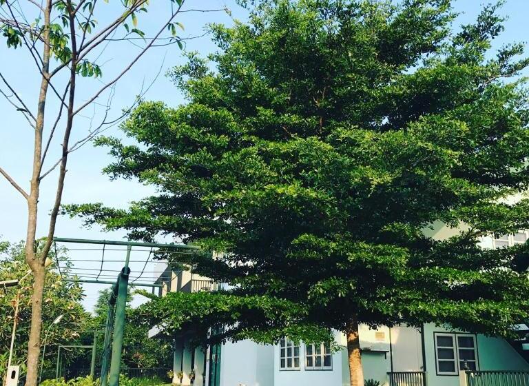 פנסיון ลิตเติ้ลเฮ้าส์เขาใหญ่ Little House