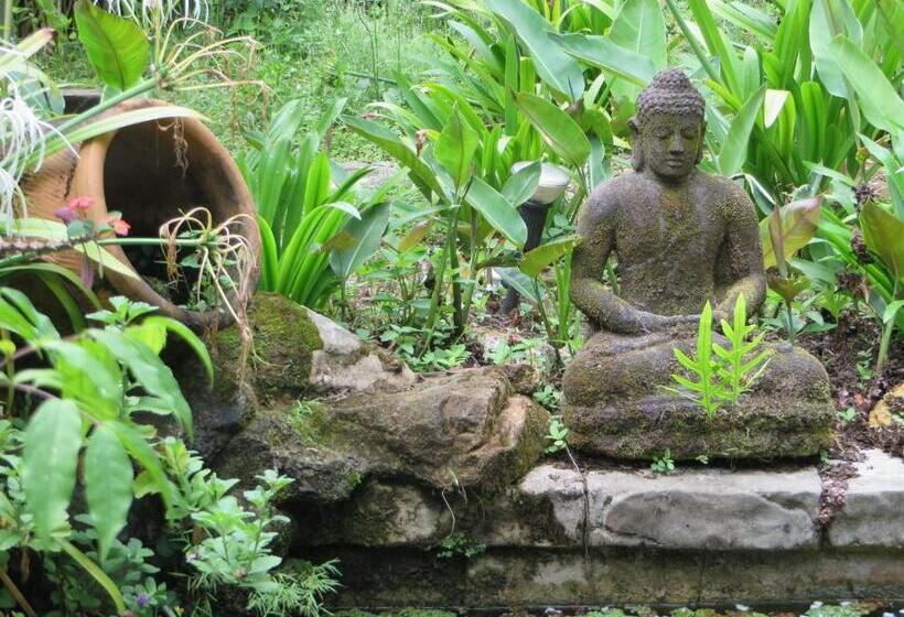 بنسيون Nanga Damai Homestay