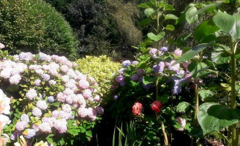 Пансион Newlands Lodge