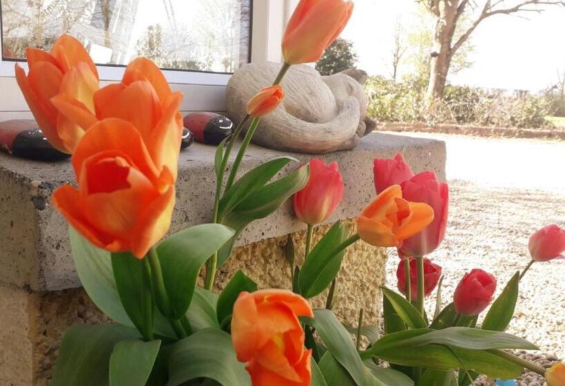 Пансион Newlands Lodge