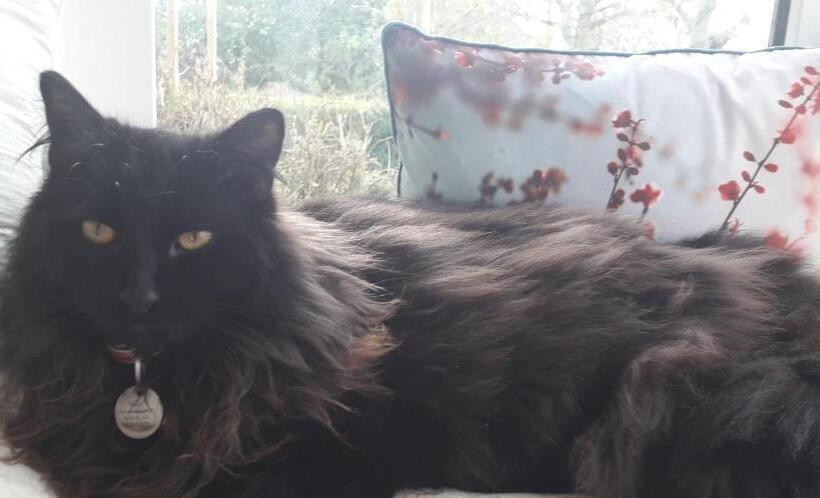 Пансион Newlands Lodge