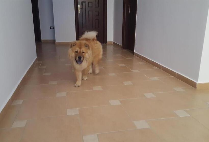 פנסיון Nuovo Sun Golem