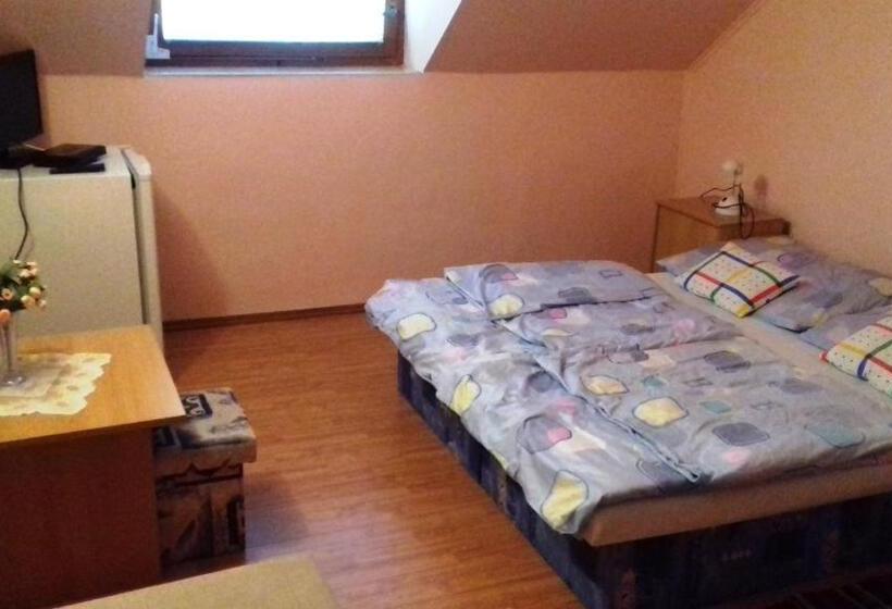 פנסיון Penzion Rose